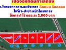 ขายที่ดิน - ขายที่ดินบางน้ำเปรี้ยว 1 ไร่ ใกล้วัดโพรงอากาศ 3.5 กม. เหมาะปลูกบ้านสวนได้ จ.ฉะเชิงเทรา