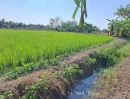 ขายที่ดิน - ขายไร่นาสวนผสม ติดถนนคลองชลประทาน บ้านป่ารกฟ้า ต.น้ำดิบ อ.ป่าซาง จ.ลำพูน