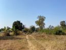ขายที่ดิน - ขายที่ดินสวย เเบ่งขายได้ ใกล้รพ บ้านฝาง ใกล้ถนนมะลิวัลย์ ทำเลดี (ต่อรองราคาได้)