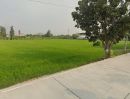 ขายที่ดิน - ขายที่ดิน8ไร่ พื้นที่สีเขียว หน้ากว้าง 83ม. ถนนทางหลวงชนบท นบ.5027 ตำบล บ้านใหม่ อำเภอบางใหญ่ นนทบุรี