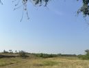 ขายที่ดิน - ขายที่ดิน อ.บางเลน จ.นครปฐม 15 ไร่ แถมฟรี 2 ไร่ ติดถนนใหญ่ ใกล้โรงงานดีโสตน