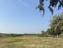 ขายที่ดิน - ขายที่ดิน อ.บางเลน จ.นครปฐม 15 ไร่ แถมฟรี 2 ไร่ ติดถนนใหญ่ ใกล้โรงงานดีโสตน