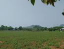 ขายที่ดิน - ที่ดิน ปากช่อง เนื้อที่ 208 ตารางวาเศษ ต.หมูสี นครราชสีมา พร้อมบ้านพัก 1 หลัง วิวเขาใหญ่