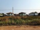 ขายที่ดิน - ขายที่ดินคลอง4 ลำลูกกา ไสวประชาราษฏร์ 1ไร่ อยู่ต้นๆซอย เหมาะทำโกดัง ปลูกบ้าน หรือทำแปลงที่ดินแบ่งขายได้ ทำเลดี ใกล้แหล่งชุมชน