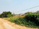 ขายที่ดิน - ขายที่ดินคลอง4 ลำลูกกา ไสวประชาราษฏร์ 1ไร่ อยู่ต้นๆซอย เหมาะทำโกดัง ปลูกบ้าน หรือทำแปลงที่ดินแบ่งขายได้ ทำเลดี ใกล้แหล่งชุมชน