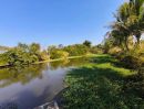 ขายที่ดิน - ขายที่ดินพร้อมสวนมะพร้าว บ้านโสกน้ำขาว ต.หนองไฮ อำเภอเมืองอุดรธานี