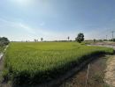 ขายที่ดิน - ขายที่นาคลองอุดมชลจร 30 ไร่ ติดถนนลาดยาง ใกล้ตลาดปองพล - 11 กม. เมืองฉะเชิงเทรา
