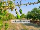 ขายที่ดิน - มีโฉนด 2 ไร่ครึ่งขายยกแปลงเพียง 890,000 บาทรวมโอน เจ้าของขายเองสวนผสมห่างเซเว่นเพียง 400 เมตร ติดถนนลาดยาง ติดคลองชลประทาน