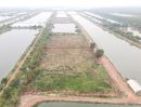ขายที่ดิน - ขายที่ดิน 5 ไร่ มีโฉนด อ.องครักษ์ ติดถนน ขายเหมายกแปลง 990,000 บาท