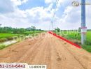 ให้เช่าที่ดิน - ที่ดินคลองหลวง 2 ไร่ 25 ตร.ว. ปทุมธานี ใกล้วัดพระธรรมกาย (เช่า)