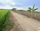 ขายที่ดิน - ขายสวนผสมแปลงเล็ก วิวภูเขาล้อมรอบ เหมาะทำบ้านสวนพอเพียง บ้านริมนา คาเฟ่ริมนา