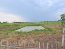 ขายที่ดิน - ขายสวนผสมแปลงเล็ก วิวภูเขาล้อมรอบ เหมาะทำบ้านสวนพอเพียง บ้านริมนา คาเฟ่ริมนา