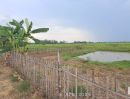 ขายที่ดิน - ขายสวนผสมแปลงเล็ก วิวภูเขาล้อมรอบ เหมาะทำบ้านสวนพอเพียง บ้านริมนา คาเฟ่ริมนา