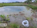 ขายที่ดิน - เหลือ 2 แปลงสุดท้าย ขายบ่อปลาสวนผสมแปลงเล็กราคาถูก น้ำประปาพร้อม ห่างทางหลวงสบทา-ท่าลี่เพียง 400เมตร