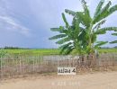ขายที่ดิน - เหลือ 2 แปลงสุดท้าย ขายบ่อปลาสวนผสมแปลงเล็กราคาถูก น้ำประปาพร้อม ห่างทางหลวงสบทา-ท่าลี่เพียง 400เมตร