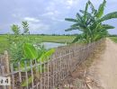ขายที่ดิน - เหลือ 2 แปลงสุดท้าย ขายบ่อปลาสวนผสมแปลงเล็กราคาถูก น้ำประปาพร้อม ห่างทางหลวงสบทา-ท่าลี่เพียง 400เมตร