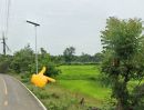 ขายที่ดิน - ที่นาในเมือง แปลงสวย อนาคตดี ต.บ้านบัว อ.เมืองบุรีรัมย์
