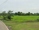 ขายที่ดิน - ที่นาในเมือง แปลงสวย อนาคตดี ต.บ้านบัว อ.เมืองบุรีรัมย์