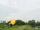 ขายที่ดิน - ที่นาในเมือง แปลงสวย อนาคตดี ต.บ้านบัว อ.เมืองบุรีรัมย์