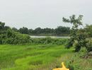 ขายที่ดิน - ที่นาในเมือง แปลงสวย อนาคตดี ต.บ้านบัว อ.เมืองบุรีรัมย์