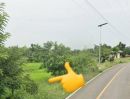 ขายที่ดิน - ที่นาในเมือง แปลงสวย อนาคตดี ต.บ้านบัว อ.เมืองบุรีรัมย์