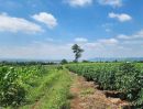 ขายที่ดิน - ขายถูกมาก!! ที่ดินวิวน้ำเขื่อนลำแชะ บรรยกาศดีมาก อ.ครบุรี จ.โคราช ติดถนน ใกล้ตัวอำเภอครบุรี ใกล้ตัวเมืองโคราช