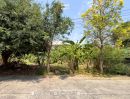 ขายที่ดิน - ที่ดินเปล่าถมแล้วใน หมู่บ้านชลลดา บางบัวทอง (ขนาด 50 ตร.ว.) ถ.บางกรวย-ไทรน้อย บางบัวทอง นนทบุรี ใกล้วัดเล่งเน่ยยี่2 และตลาดบางบัวทอง