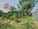 ขายที่ดิน - ที่ดิน ซอยลาดพร้าว 83 เนื้อที่ 58 ตรว. ถนนลาดพร้าว แขวงคลองเจ้าคุณสิงห์ เขตวังทองหลาง กรุงเทพฯ