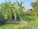 ขายที่ดิน - ขายที่ดินจัดสรร โครงการศาลายาการ์เด้นท์29 เนื้อที่ 89.60 ตร.ว ทำเลดี ติดถนน เหมาะพักอาศัย