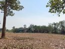 ขายที่ดิน - ขายที่ดินนาจอมเทียน พัทยาเนื้อที่ 2 ไร่ ติดถนนคอนกรีต ใกล้ถนน1008-500เมตร ใกล้หาดบ้านอำเภอ-2กม. อ.สัตหีบ จ.ชลบุรี