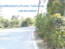 ขายที่ดิน - ขายที่ดินพร้อมบ้านพักเนื้อที่ 5ไร่ 54ตรว.ห่างถนนสุขุมวิท 1.8กม.ใกล้สวนนงนุชพัทยา