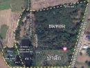 ขายที่ดิน - ขายที่ดินสวนป่าเนื้อที่ 30ไร่ ต้นยมหอม,ไม้สัก,ผักหวาน,บ่อเลี้ยงปลา บ้านสวน ติดถนน ทล.4035