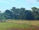 ขายที่ดิน - ที่ดินติดแม่น้ำเพชรบุรี ที่ดินติดถนนคอนกรีต ที่ดินอยู่ในเขตชุมชน ที่ดินเป็นสวนเกษตรผสมผสาน
