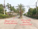 ขายที่ดิน - ขายที่ดิน 67.6 ตร.วา แปลงมุมสวยมาก ติดถนนสายหลัก หมู่บ้านพิมุกต์ 4 เฟส 1 เจ้าของขายเอง