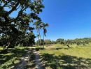 ขายที่ดิน - ขายที่สวนลำใยติดถนนหน้ากว้างบ้านพญาชมภูสารภีโฉนดพร้อมโอน