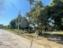 ขายที่ดิน - ขายที่สวนลำใยติดถนนหน้ากว้างบ้านพญาชมภูสารภีโฉนดพร้อมโอน