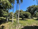 ขายที่ดิน - ขายที่สวนลำใยติดถนนหน้ากว้างบ้านพญาชมภูสารภีโฉนดพร้อมโอน