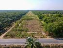 ขายที่ดิน - ขาย ที่ดินเปล่า ใกล้ อบต.นพรัตน์ คลอง 12 หนองเสือ
