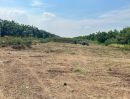 ขายที่ดิน - ขาย ที่ดินเปล่า ใกล้ อบต.นพรัตน์ คลอง 12 หนองเสือ