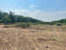 ขายที่ดิน - ขาย ที่ดินเปล่า ใกล้ อบต.นพรัตน์ คลอง 12 หนองเสือ