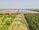 ขายที่ดิน - ขาย ที่ดินเปล่า ใกล้ อบต.นพรัตน์ คลอง 12 หนองเสือ
