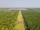 ขายที่ดิน - ขาย ที่ดินเปล่า ใกล้ อบต.นพรัตน์ คลอง 12 หนองเสือ