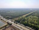 ขายที่ดิน - ขาย ที่ดินเปล่า ใกล้ อบต.นพรัตน์ คลอง 12 หนองเสือ