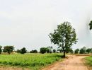 ขายที่ดิน - ที่ดินเปล่า แปลงใหญ่ ขนาด 28 ไร่กว่า อ.สีคิัว โคราช