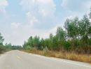 ขายที่ดิน - ขายที่ดินเปล่าแปลงใหญ่ พื้นที่ 127-3-22 ไร่ ตำบลท่าตะคร้อ อำเภอหนองหญ้าปล้อง จังหวัดเพชรบุรี