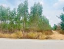ขายที่ดิน - ขายที่ดินเปล่าแปลงใหญ่ พื้นที่ 127-3-22 ไร่ ตำบลท่าตะคร้อ อำเภอหนองหญ้าปล้อง จังหวัดเพชรบุรี