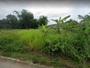 ขายที่ดิน - ขายที่โฉนดครุฑแดง ปรับพื้นที่แล้ว ซอยไสน้ำเย็น เนื้อที่ 259 ตร.ว.
