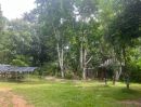 ขายที่ดิน - ขายถูกมาก!! ที่ดินแปลงใหญ่ 74-3-34 ไร่ ทำเลดี อ.เมืองปาน จ.ลำปาง ถนนเข้าถึง อยู่ตีนดอยจิกจ้อง แหล่งท่องเที่ยวชื่อดัง