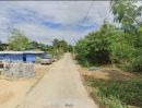 ขายที่ดิน - ขายที่ดินเปล่า ใกล้ชุมขน แหล่งท่องเที่ยว ร้านค้า (เจ้าของขายเอง ต่อรองได้)