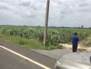 ขายที่ดิน - ขายที่ดินสำหรับทำการเกษตร หรือซื้อไว้ปล่อยเช่า เก็งกำไร